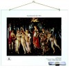 Plexiglass 10mm